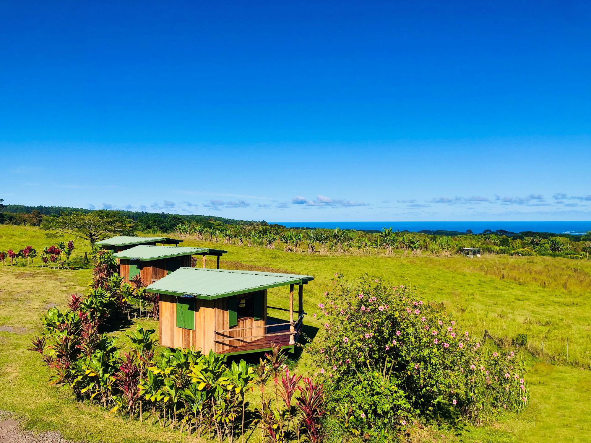 Farm near Waterfalls in Hilo, Hawaii | Kulaniapia Falls